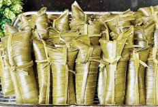 Membalut Tradisi Janur Kelapa, Bongkol Tawarkan Gurih Manis Memikat Lidah Melayu