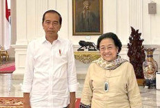 Soal Pertemuan Jokowi dan Megawati, Istana Angkat Bicara