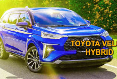 Mobil Hybrid Vs Mobil Listrik 2025, Terlaris BEV Tetapi Lebih Terjangkakau Mobil Jenis Ini