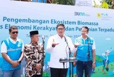 Ubah Lahan Kritis Jadi Hijau dan Produktif, PLN Kembangkan Ekosistem Biomassa Berbasis Pertanian Terpadu