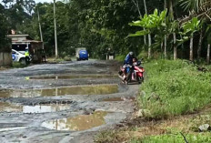 Gubernur : 50 % Jalan Nasional Musi Rawas - Muba Rusak, Rp 170 Miliar untuk Perbaikan Mulai Januari 2026