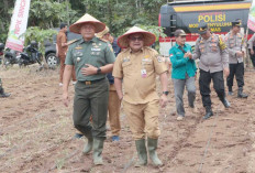  Ikut Tanam Jagung Serentak 1 Juta Hektare, Dandim 0406 Lubuk Linggau : Wujudkan Swasembada Jagung 2026