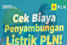 Pemasangan Listrik Baru PLN 2025 ada 3 Alternatif dan Biaya Mulai Dari Rp400 Ribuan