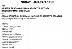 Cek Selengkapnya! Begini Surat Lamaran CPNS 2024 yang Sesuai Rekomendasi dari KemenPAN RB  