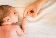 Tidak Otomatis, ini Syarat Mendaftarkan Bayi jadi Peserta BPJS Kesehatan Via WA PANDAWA