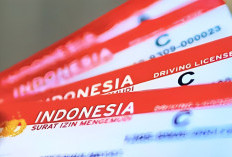 SIM C Gratis Resmi Diluncurkan hingga 11 Desember 2024 Buruan Jangan Sampai Ketinggalan, Ini Syaratnya 