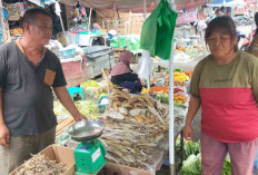 Ikan Kering Asli Bengkulu Banyak Diminati Warga Lubuk Linggau