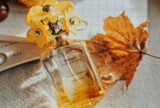 10 Tips Memilih Parfum Isi Ulang Dengan  Wangi Aroma yang Memikat Wanita