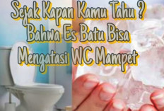 Sejak Kapan Kamu Tahu! Es Batu Bisa Menjadi Solusi Terbaik Untuk WC Mampet