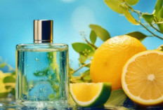 5 Rekomendasi Parfum yang Cocok di Musim Hujan