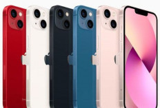 iPhone 13 Series Makin Murah, Turun Hingga 8 Jutaan