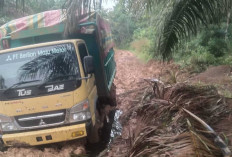Anggota Polres Mura Amankan Truck dan Minyak Hasil Curian yang Ditinggalkan di Musi Rawas, Pelaku Kabur