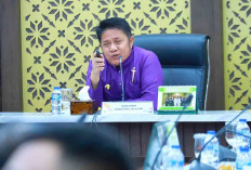 Begini Progres Pembangunan Jalan Khusus Batubara di Sumsel, Gubernur Sumsel Beri Tanggapan