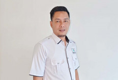 Muratara Sudah Punya BPS Sendiri, ini Kegiatan Dilakukan