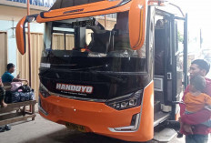 INFO MUDIK 2024 : Simak Harga Tiket Bus dari Kota Lubuklinggau ke Pulau Jawa dan Sumatera