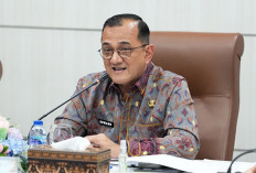 Nasib PPPK Paruh Waktu Dilingkungan Pemprov Sumsel Aman, Begini Penjelasan Sekda