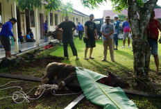 Idul Adha 1446 H, Universitas PGRI Silampari Berkurban Semangat Berbagi dan Saling Peduli