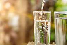 Sering di Anggap Sepele, Inilah 6 Manfaat Minum Air Putih di Pagi Hari Bagi Kesehatan Tubuh 
