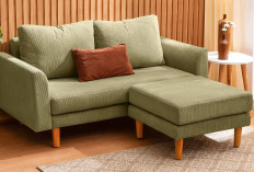 5 Rekomendasi Jenis Sofa Mungil yang Cocok untuk Percantik Rumah Minimalis