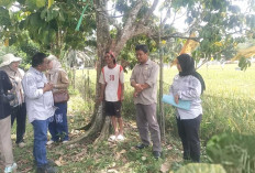 Distankan Muratara Siap Uji Coba Pertanian Modern Advanced Agriculture System