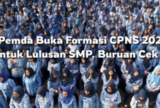 6 Pemda Buka Formasi CPNS 2024 untuk Lulusan SMP, Buruan Cek