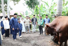 Data Sementara ada 1.802 Hewan Kurban yang Disembelih di Lubuk Linggau. Ini Rinciannya 
