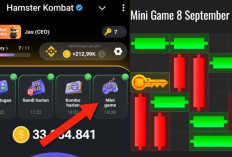 ﻿Kunci Mini Game Hamster Kombat Hari Ini Minggu 8 September 2024, Ini Polanya