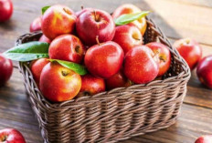 Konsumsi Buah Apel Secara Rutin Ternyata Bisa Cegah 6 Jenis Penyakit Ini, Apa Saja?