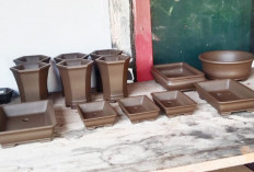 Ciptakan Peluang Usaha, Sukses Membuat Pot Tanaman Bonsai Bisa Terjual Hingga Bali