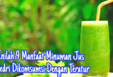 Inilah 9 Manfaat Mengomsumsi Minum Jus Seledri Dengan Teratur, Yuk Simak Disini!