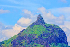 Bukit Jempol Rekomendasi Pilihan Liburan Lengkap dengan Sensari Alam Pegunungan Sumsel 