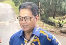 Jubir TKN Prabowo Gibran Bantah Bagi-bagi Kursi Komisaris BUMD