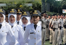  Ingin Jadi CPNS Tanpa Ribet? Ini 28 Sekolah Kedinasan Tanpa Syarat Nilai UTBK SNBT