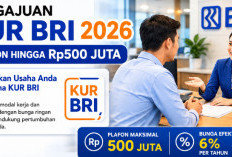 KUR BRI 2026 Plafon Rp500 Juta, Ini Syarat Pengajuan dan Estimasi Angsurannya