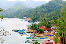 Wisata Kelestarian Menghadirkan Lumba-Lumba Hadirkan Pengalaman Otentik Pelancong