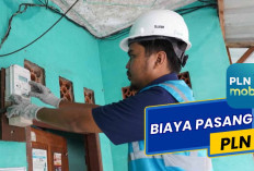 Biaya Pasang Listrik Baru Tahun 2025, PLN Beri Solusi untuk 3 Cara Pengajuan