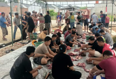 Idul Adha 1447 H, Masjid Miftahul Jannah Batu Urip Sembelih 3 Sapi dan 1 Kambing Kurban  ‎