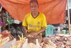 Harga Ayam di Pasar Inpres Lubuk Linggau Mulai Naik, Begini Kata Para Pedagang