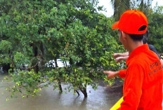 BPBD Musi Rawas Kembali Ingatkan Warga Waspada Banjir