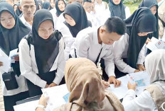 BKPSDM Lubuk Linggau Spil Gambaran Gaji PPPK Paruh Waktu, Ternyata Segini