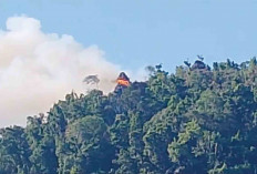 Hutan Gua Batu Napalicin Muratara Terbakar, Begini Penjelasan Kepala Dinas Pariwisata