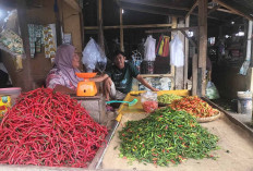 Pasca Lebaran, Begini Update Harga Bawang dan Cabai di Lubuk Linggau 