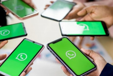 Chatting Makin Seru! Ini 4 Fitur Baru WhatsApp 2025