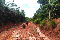 Akses Jalan Masih Tanah Merah Warga Desa Mukti Karya dan Desa Sindanglaya Musi Rawas Berharap Ada Peningkatan 