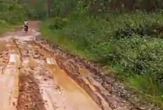 Jalan Menuju Enam Desa di Kawasan HTI Tidak Tersentuh Pembangunan Ini Tanggapan Ketua DPRD