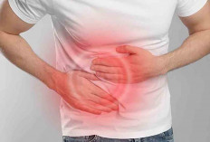 Ini Ciri-Ciri Usus Buntu yang Sering Diabaikan