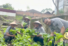 Lapas Kelas IIA Lubuk Linggau Laksanakan Panen Raya dan Pemberian Bansos ke Masyarakat