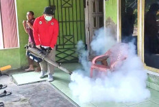 Tiga Warga Terjangkit DBD, Dinkes Musi Rawas Lakukan Ini
