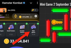 Kunci Mini Game Hamster Kombat Hari Ini Senin 2 September 2024, Ini Polanya