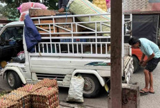 Program MBG, Bikin Penjualan Telur Ayam di Lubuk Linggau Naik Signifikan